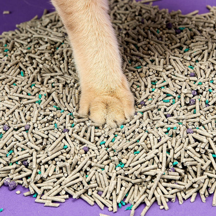 Flushable Clumping Cat Litter soft on sensitive cat paws and low tracking, providing comfortable and clean litter box experience