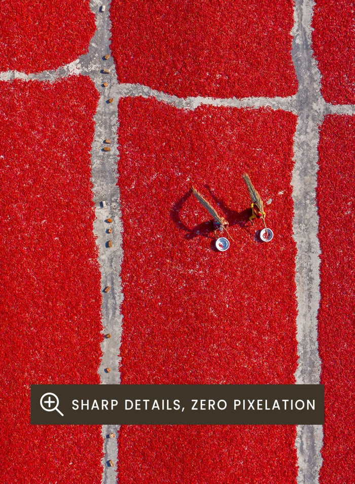 Chilli Farm by Azim Khan Ronnie aerial photography print showing red chilli drying fields in Bangladesh, cultural food production wall art poster.