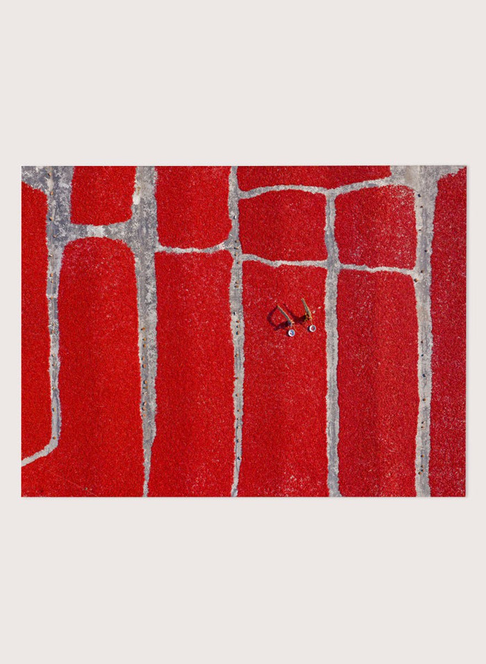 Chilli Farm by Azim Khan Ronnie aerial photography print showing red chilli drying fields in Bangladesh, cultural food production wall art poster.
