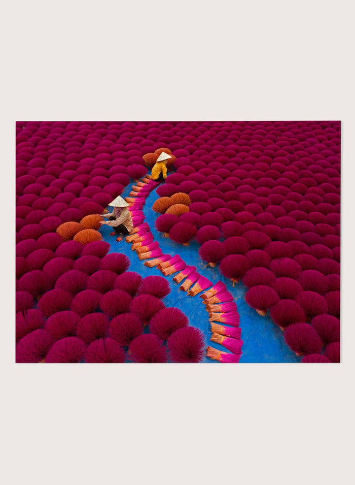 Two people walking through a field of red incense sticks with a clear sky. Drying Incense by Azim Khan Ronnie photography print showing Vietnamese incense workers in Hanoi with vibrant red bundles, cultural documentary wall art poster