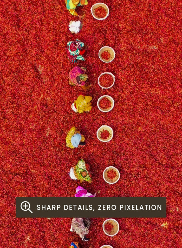 Pickers Sorting Chillies by Azim Khan Ronnie aerial photography print showing workers in red chilli fields Bangladesh, cultural documentary wall art poster