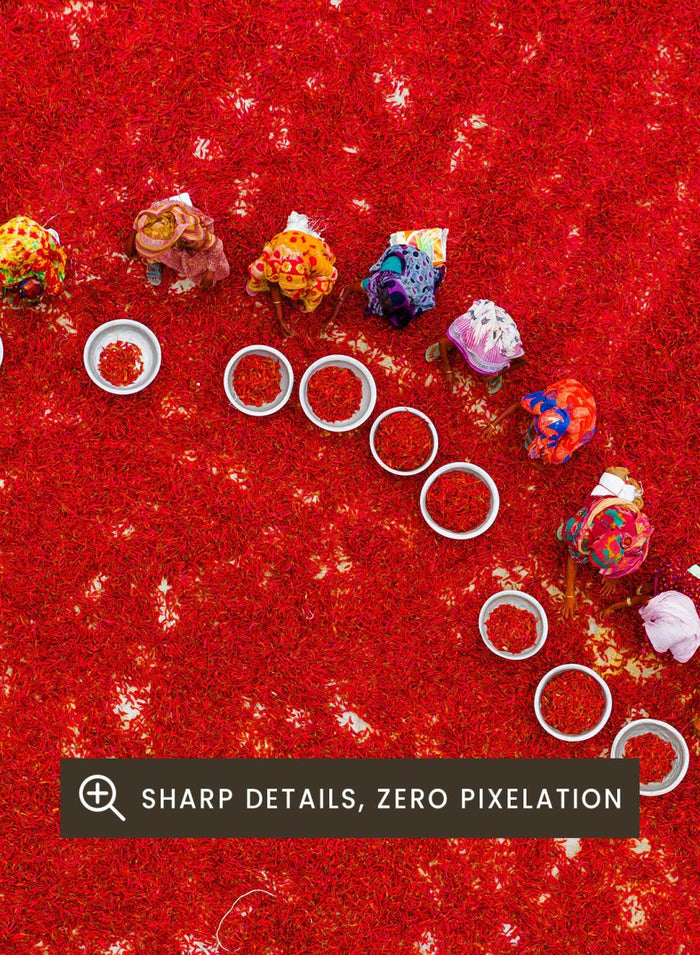 Picking Red Chilies by Azim Khan Ronnie aerial photography print showing workers harvesting red chilli fields Bangladesh, cultural documentary wall art poster
