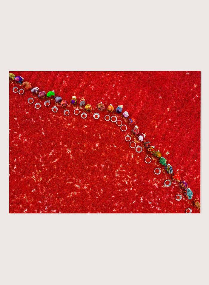 Azim Khan Ronnie - Picking Red Chilies Art Print