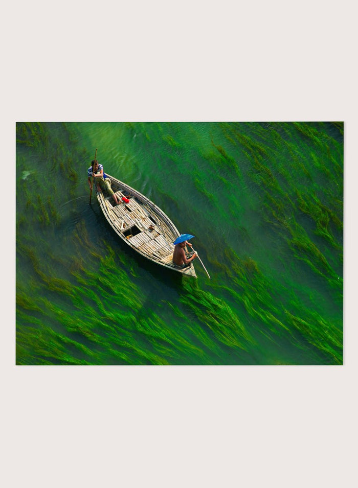 Sailing Through Green Veins by Azim Khan Ronnie aerial photography print showing boat over green aquatic plants river, nature wall art poster