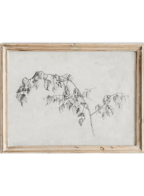 "Blackberry" Branch Sketch Art Print_Sugar & Canvas_Andrew Fisher Bunner