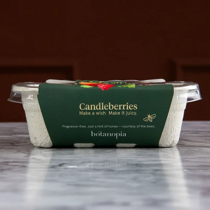 Candleberries-  Berry-Shaped Cake Candles (Set of 14)