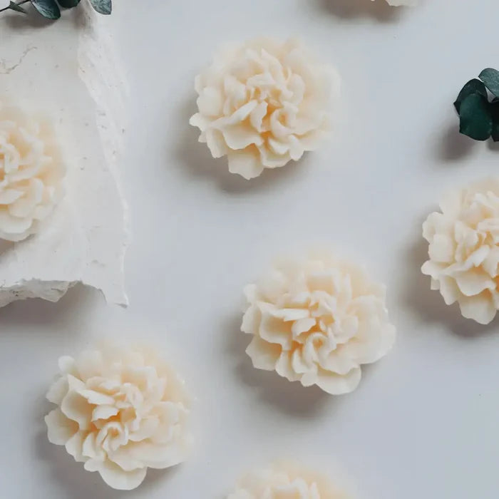 Carnation Dream Candle by Luceria Floral Collection (Repose)