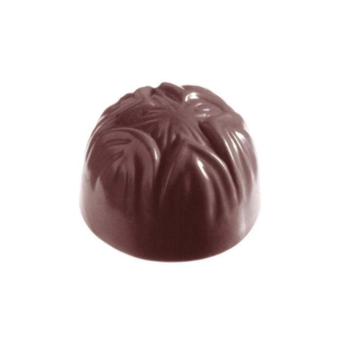 Chocolate World Hazelnut polycarbonate chocolate mold 2340CW with 21 cavities, professional Belgian confectionery mold for bonbons and pralines, clear polycarbonate hazelnut chocolate mould 2340CW