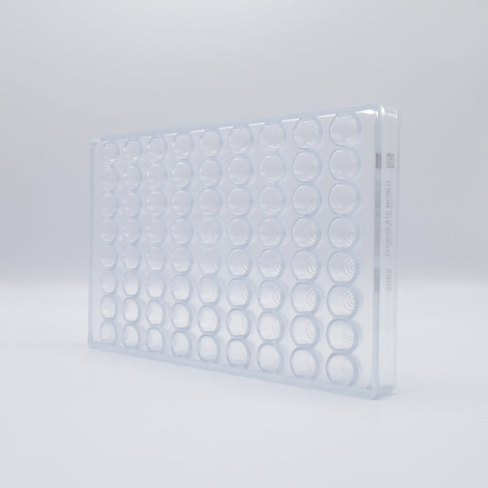 Chocolate World Pattern Top Polycarbonate Chocolate Mold – ~1.18 x 1.18 x 0.59 in, 21 Cavities