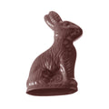 Chocolate World Sitting Hare polycarbonate chocolate mold 1183CW with 4 cavities, professional Belgian confectionery mold for bonbons and pralines, clear polycarbonate sitting hare chocolate mould 1183CW