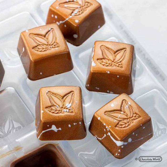 Chocolate World Stamp Cocoa Square Polycarbonate Chocolate Mold – ~1.57 x 1.57 x 0.31 in, 15 Cavities