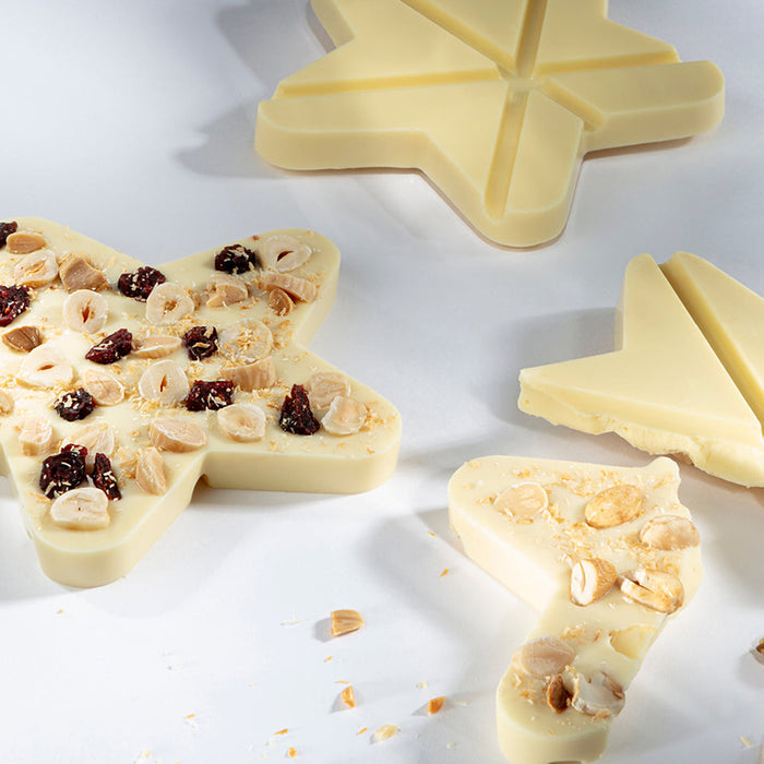 Chocolate World Tablet Star Polycarbonate Chocolate Mold – 4.65 x 4.61 x 0.47 in, 2 Cavities