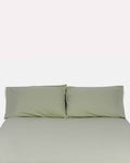 Classic Percale - Fitted Sheet Set -  Sage Green