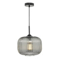 Demarius 1 Light Pendant Black and Smoked Glass<br>Smoked Glass