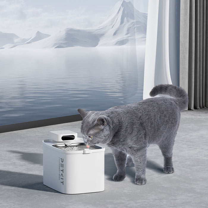 PETKIT EverSweet Max cordless cat water fountain, cat water dispenser, in use as a cat drinks fresh flowing water