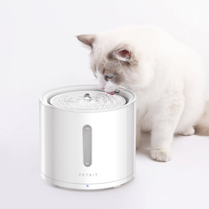 PETKIT EverSweet Solo 2 cat water fountain, cat water dispenser, used by a cat drinking flowing water in a home setting