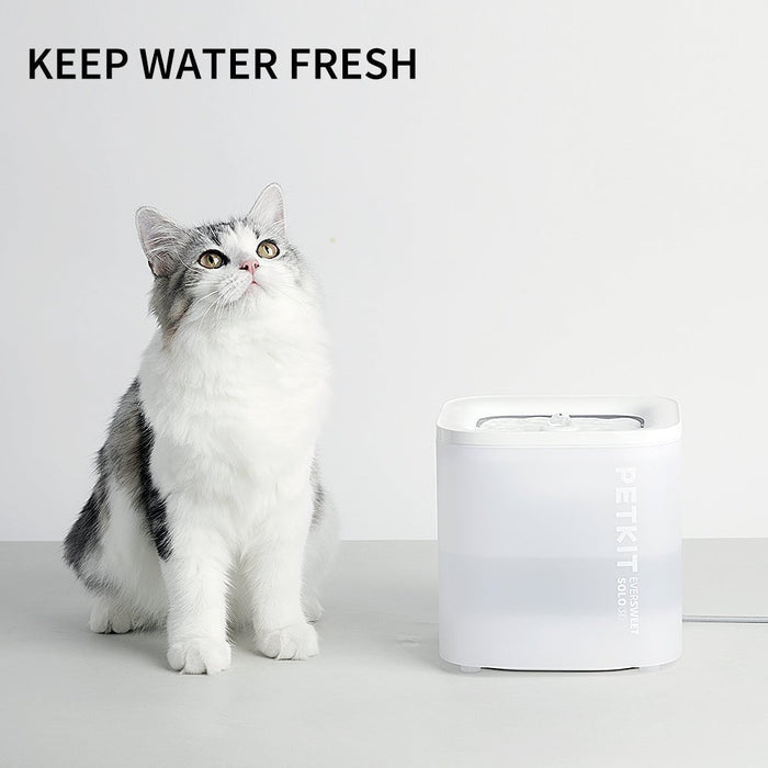 PETKIT EverSweet Solo SE cat water fountain, cat water dispenser, placed beside a cat to keep drinking water fresh during daily use