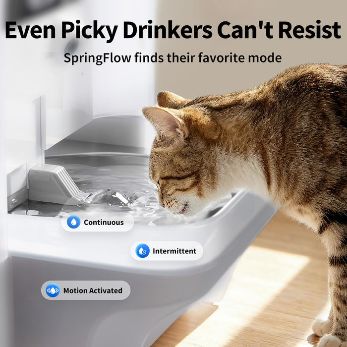 EverSweet Ultra Cat Water Fountain demonstrating SpringFlow technology with continuous, intermittent, and motion-activated water modes