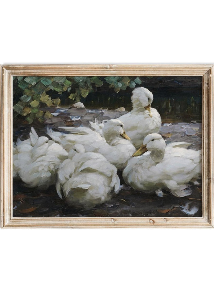 "Five Resting White Ducks" Art Print_Sugar & Canvas_Alexander Koester