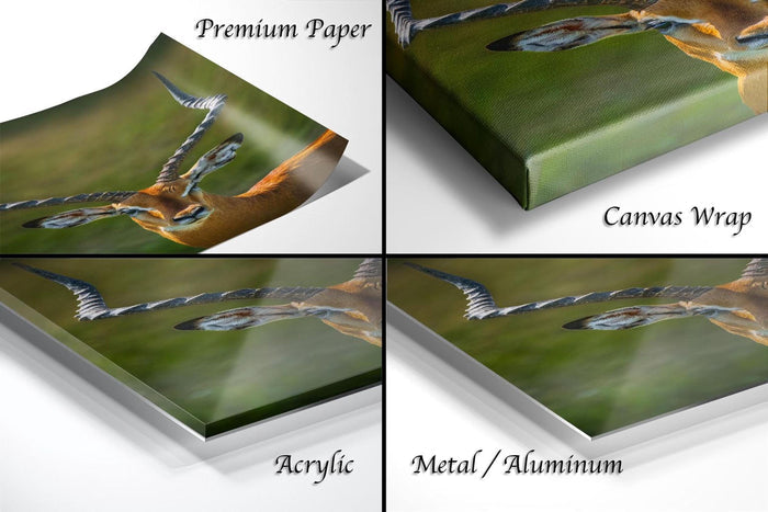 The image is a collage of four different views of a gazelle, with each view showing the gazelle in a different angle or perspective. The gazelle is depicted in a variety of colors, including shades of green, brown, and orange. The collage is labeled with text that provides information about the materials used to create the artwork, such as "Premium Paper", "Canvas Wrap", "Acrylic", and "Metal/Aluminum".