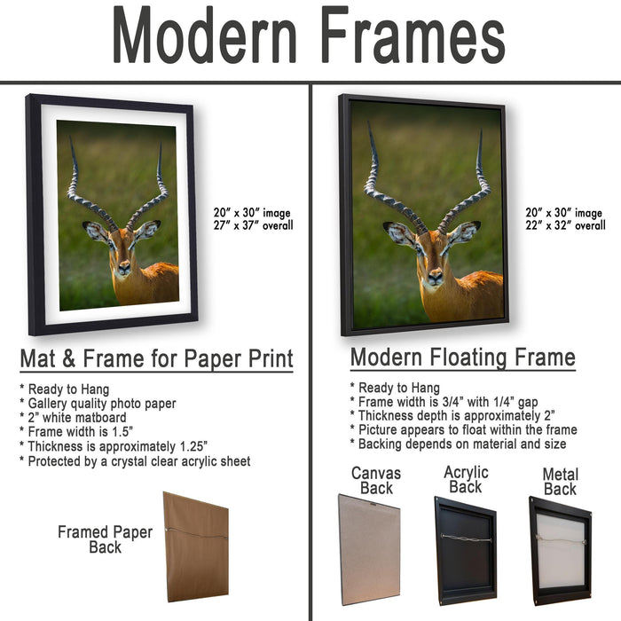 The image is a comparison of modern frames for different types of paper prints, including a mat and a frame for a paper print, a modern floating frame, and a canvas back, acrylic back, and metal back.