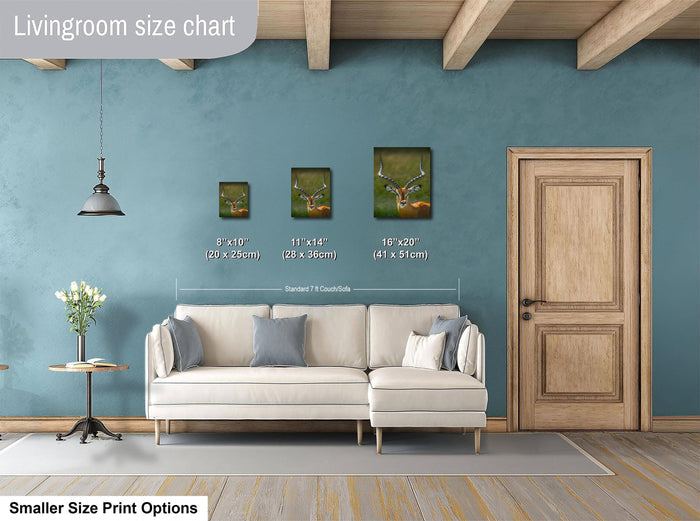 a living room with a white sofa, a wooden door, and a hanging light fixture. There are three framed pictures of deer on the wall, each with different sizes and dimensions. The living room appears to be designed for a smaller, more intimate space.