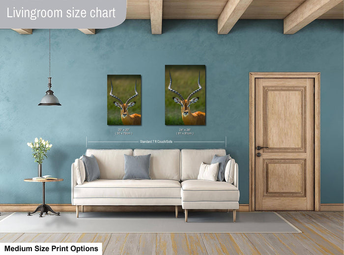 a living room with a white sofa, a wooden door, and a hanging light fixture. There are two framed prints of a gazelle on the wall, one larger than the other, and a small table with a vase of flowers next to the sofa.