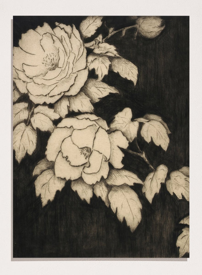 "Japanese Peonies" Art Print_Sugar & Canvas_Bertha E. Jaques