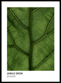 Jungle Green Color Card Art Print_Sugar & Canvas