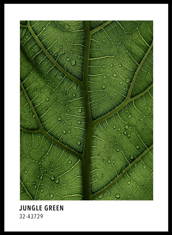Jungle Green Color Card Art Print_Sugar & Canvas