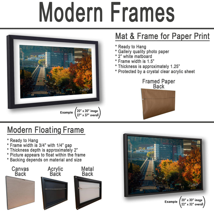 The image is a collage of two framed pictures, one of a cityscape and the other of a tree with autumn leaves. The collage features a modern floating frame and a mat & frame for paper print.