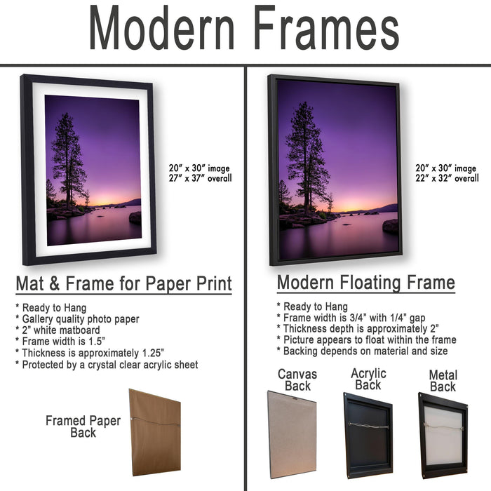 a picture frame with a picture of a tree on it