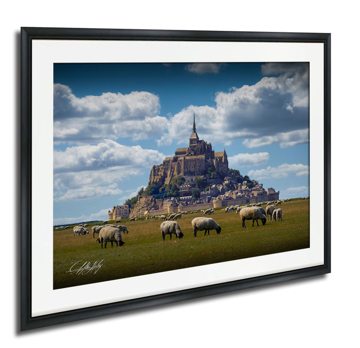 A framed photograph depicting a pastoral scene with a large castle or fortification in the background, surrounded by a grassy field where a herd of sheep are grazing.