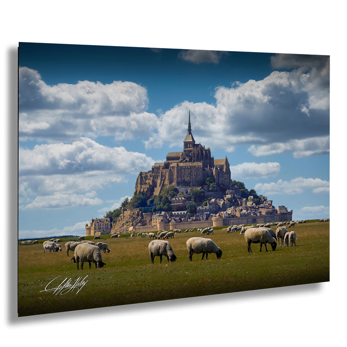A pastoral scene with a large castle or fortification in the background, surrounded by a grassy field where a herd of sheep are grazing.