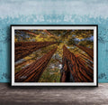 The image is a framed photograph of a forest scene, featuring tall trees with brown trunks and vibrant green leaves reaching upwards towards a blue sky.
