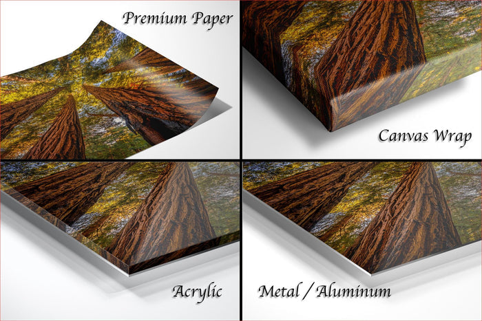 The image is a collage of four different types of materials used for printing or displaying artwork: premium paper, canvas wrap, acrylic, and metal/aluminum.