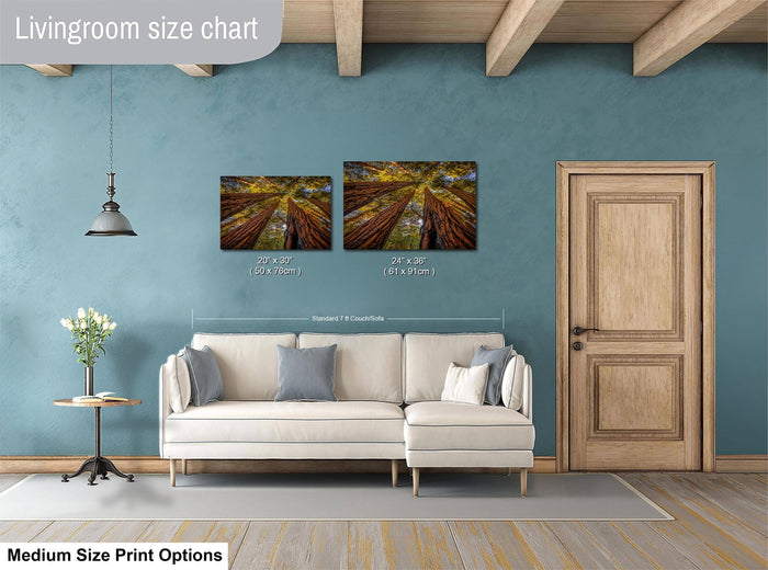 a living room with a white sofa, a wooden door, and a painting of trees on the wall. The living room appears to be well-lit and decorated with a modern style.