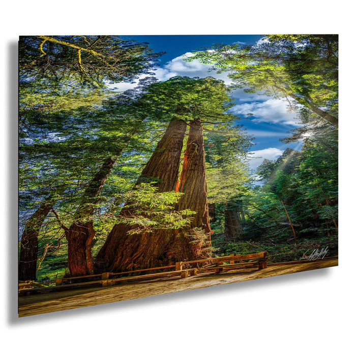 A large, ancient tree with a thick trunk and numerous branches dominates the scene, surrounded by lush greenery and sunlight filtering through the canopy.