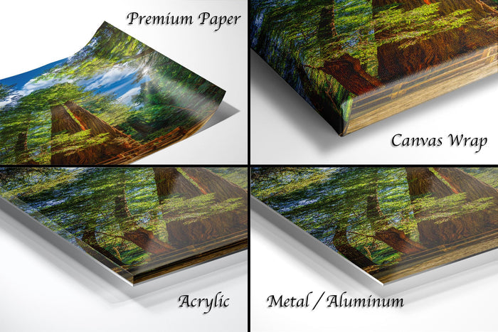The image is a collage of four different types of photo prints, including a premium paper print, a canvas wrap, an acrylic print, and a metal/aluminum print.