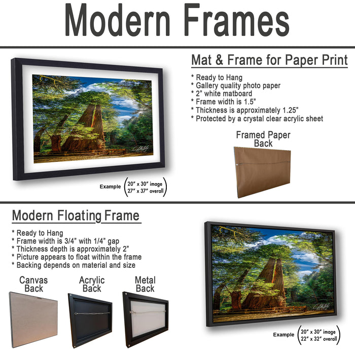a picture of a frame with a picture of a forest