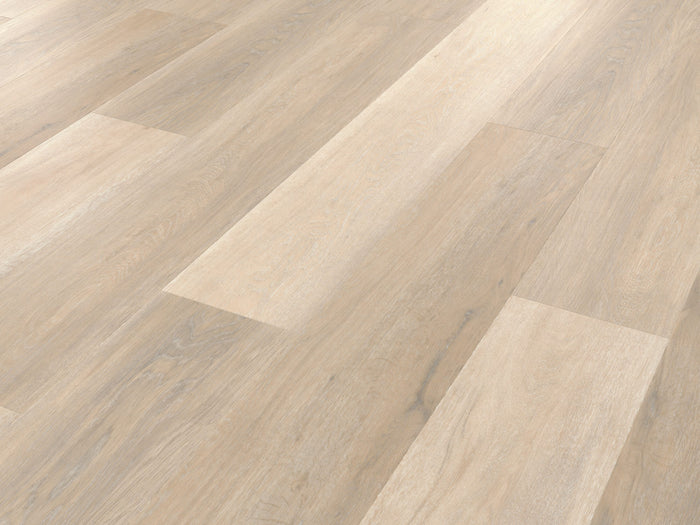 Palio Korlok - Texas White Ash