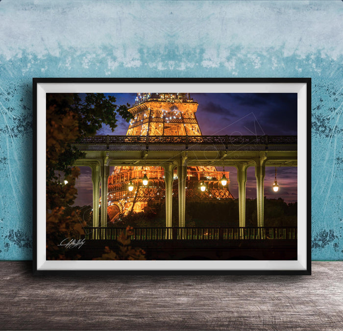 A framed photograph of the Eiffel Tower at night, with the tower illuminated and surrounded by trees and a bridge.