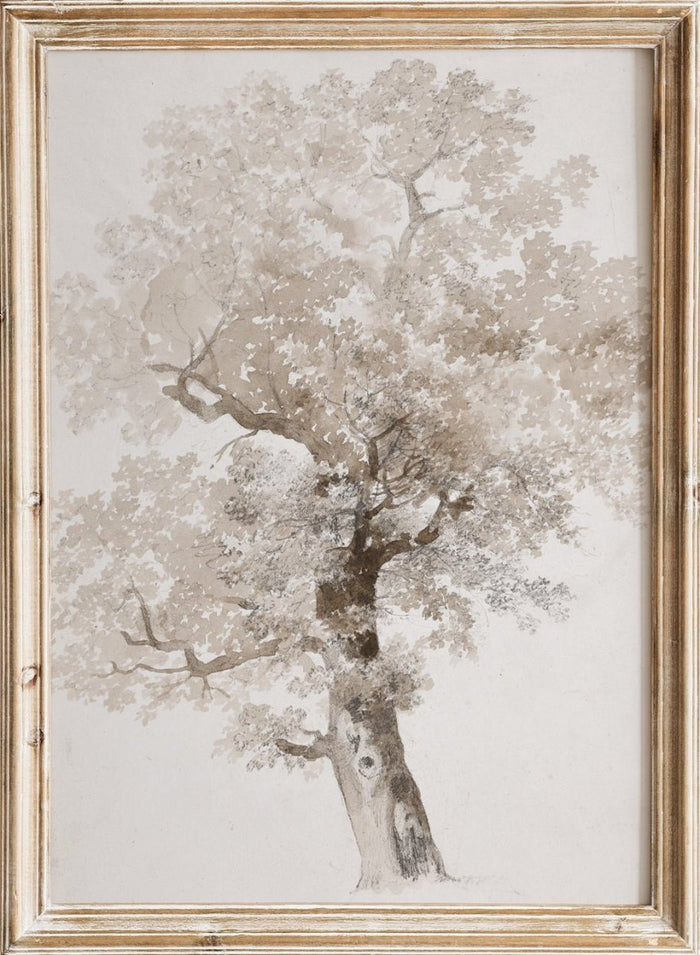 "Study of a Tree" Art Print_Sugar & Canvas_Jacques-Raymond Brascassat