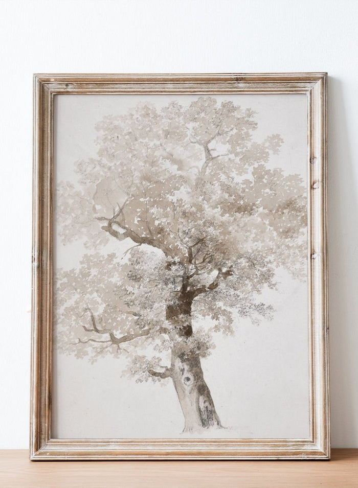 "Study of a Tree" Art Print_Sugar & Canvas_Jacques-Raymond Brascassat