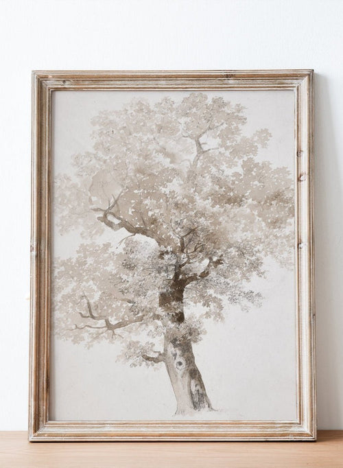 "Study of a Tree" Art Print_Sugar & Canvas_Jacques-Raymond Brascassat