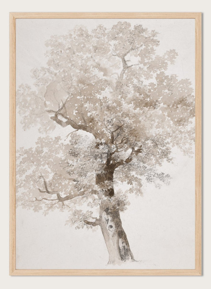 "Study of a Tree" Art Print_Sugar & Canvas_Jacques-Raymond Brascassat