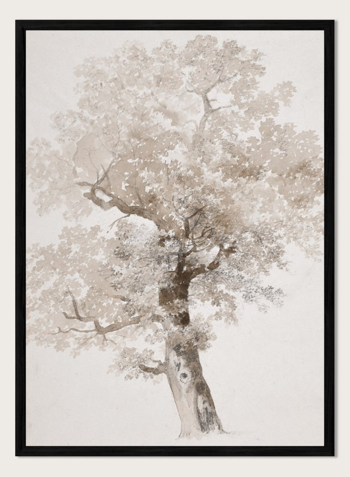 "Study of a Tree" Art Print_Sugar & Canvas_Jacques-Raymond Brascassat