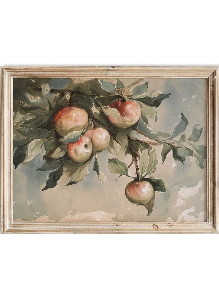 "Study of Apples" Art Print_Sugar & Canvas_Sugar & Canvas