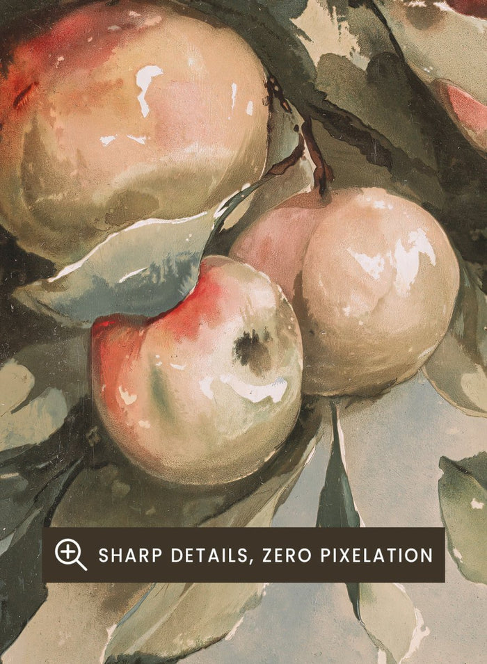 "Study of Apples" Art Print_Sugar & Canvas_Sugar & Canvas