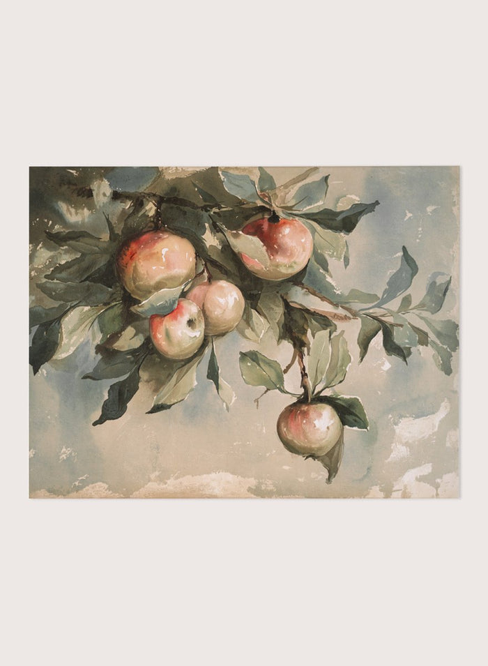 "Study of Apples" Art Print_Sugar & Canvas_Sugar & Canvas